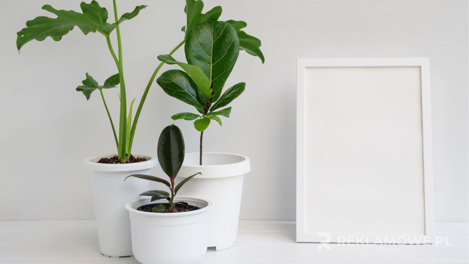 Ramki reklamowe używane w kampanii społecznościowej