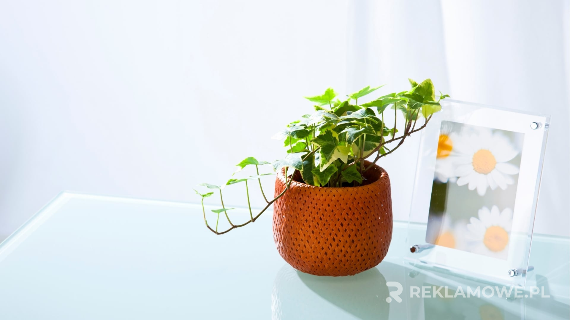 Trendy modowe prezentowane przy użyciu ramek reklamowych